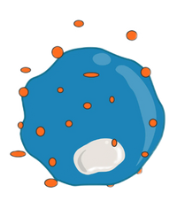 Icon 2